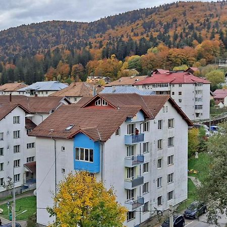 Sinaia Alpineview Residence Eksteriør bilde