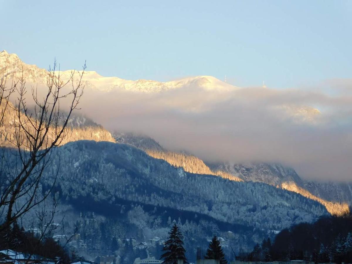 Sinaia Alpineview Residence Eksteriør bilde