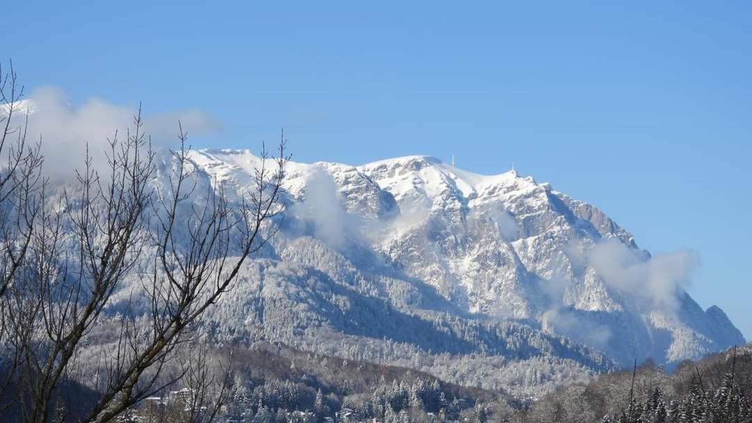 Sinaia Alpineview Residence Eksteriør bilde