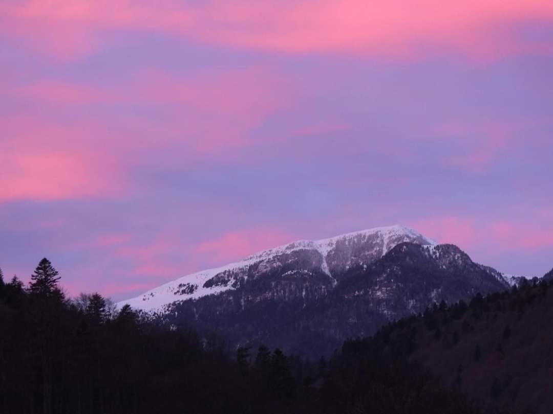 Sinaia Alpineview Residence Eksteriør bilde