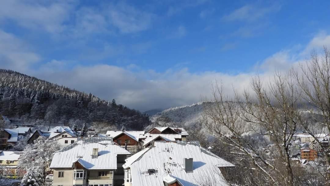 Sinaia Alpineview Residence Eksteriør bilde