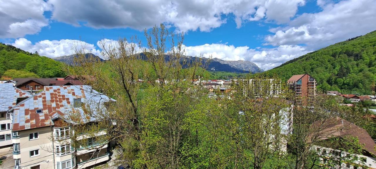Sinaia Alpineview Residence Eksteriør bilde