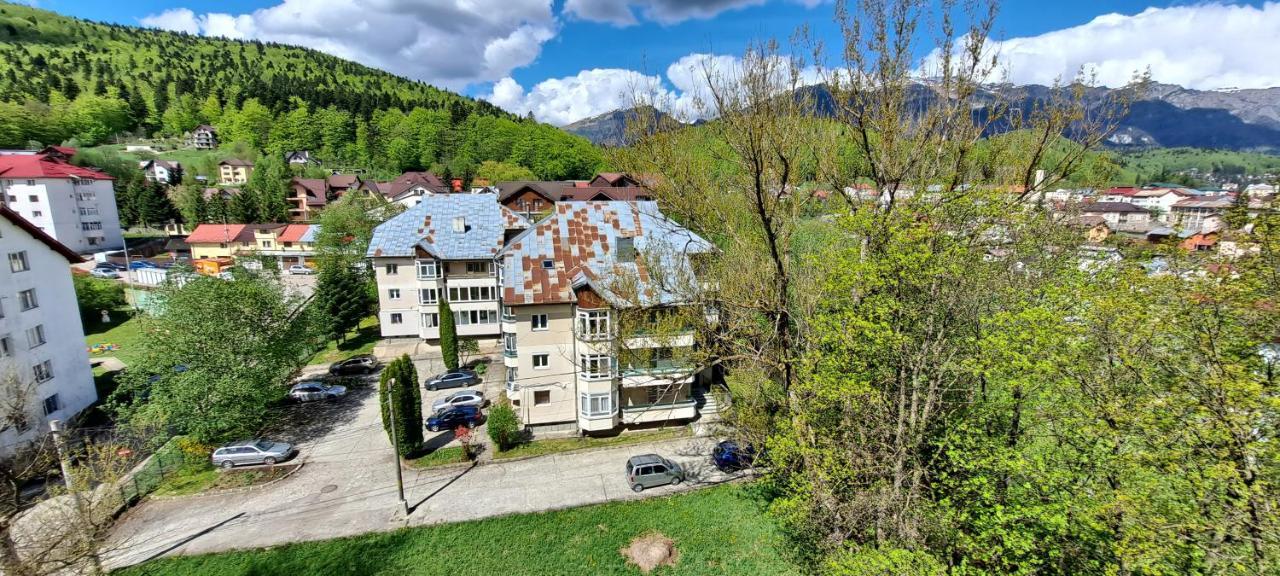 Sinaia Alpineview Residence Eksteriør bilde